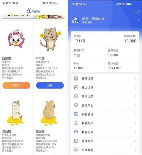 [养猫赚钱]揭秘：号称零撸的“养猫赚钱”骗局套路插图1