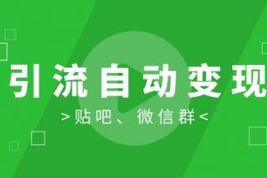 胜子《引流自动变现》特训营：微信群引流1.0和新手贴吧引流1.0【视频课程】