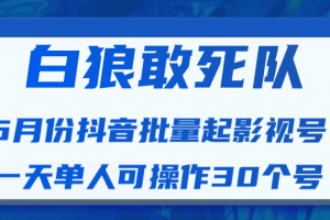 白狼敢死队最新抖音短视频批量起影视号（一天单人可操作30个号）视频课程