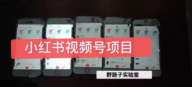 野路子小红书视频号1.0项目,直接上手操作就能赚钱的视频号项目插图 野路子小红书视频号1.0项目,直接上手操作就能赚钱的视频号项目插图