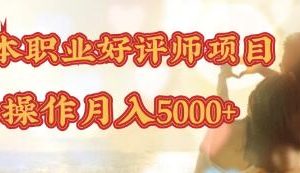 零成本操作职业好评师赚钱项目，简单操作月入5000+