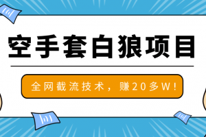 2020最新空手套白狼项目，全网批量截流技术，一个月实战成功赚20多W+