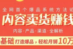 内容卖货赚钱：0基础打造卖爆品，每月轻松躺赚10w+【完结】