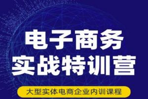 民赛电气内部出品：电子商务实战特训营，全方位带你入门电商，308种方式玩转电商