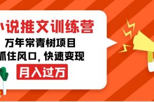 小说推文训练营，万年常青树项目，抓住风口，快速变现月入过万