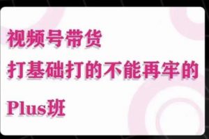 大播汇·视频号带货Puls班，视频号底层逻辑，起号自然流鱼塘等玩法