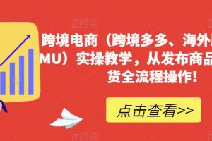 跨境电商（跨境多多、海外版多多TEMU）实操教学，从发布商品到售卖发货全流程操作！