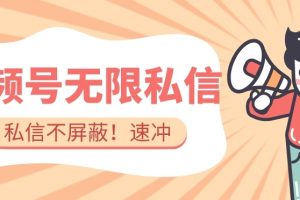 全球首发-视频号无限私信术-直接触达不屏蔽【揭秘】