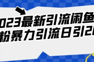 2023最新引流闲鱼创业粉暴力引流日引200+【揭秘】