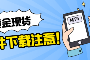 10元小投资平台,10元小投资平台软件?