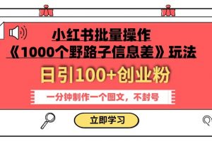 小红书批量操作《1000个野路子信息差》玩法，一分钟制作一个图文，不封号，日引100+创业粉