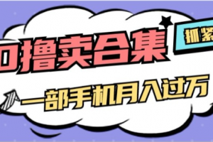 0撸项目月入过万，售卖全套ai工具合集，一单29.9元，一部手机即可【揭秘】