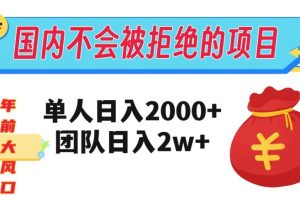 在国内不怕被拒绝的项目，单人日入2000，团队日入20000+【揭秘】