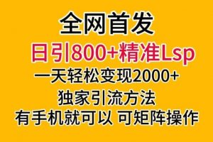 全网首发！日引800+精准老色批，一天变现2000+，独家引流方法，可矩阵操作【揭秘】