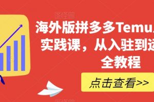 海外版拼多多Temu从零到一实践课，从入驻到运营的最全教程