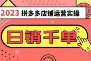 2023拼多多运营实操，每天30分钟日销1000＋，爆款选品技巧大全（10节课）