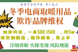 利用电商平台冬季销售取暖用品欺诈行为合理制裁店铺，单日入900+【仅揭秘】