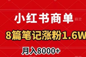 小红书商单最新玩法，8篇笔记涨粉1.6w，作品制作简单，月入8000+【揭秘】