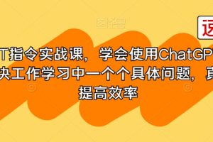 GPT指令实战课，学会使用ChatGPT，解决工作学习中一个个具体问题，真正提高效率