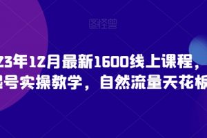 猴帝23年12月最新1600线上课程，0粉起号实操教学，自然流量天花板