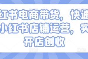 小红书电商带货，快速掌握小红书店铺运营，实现开店创收