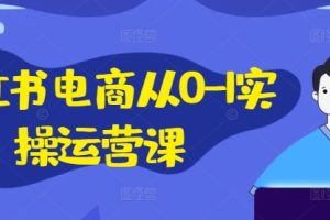 小红书电商从0-1实操运营课，小红书手机实操小红书/IP和私域课/小红书电商电脑实操板块等