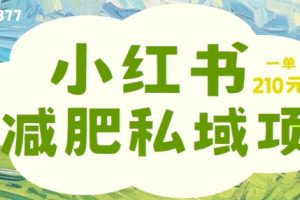 小红书减肥粉，私域变现项目，一单就达210元，小白也能轻松上手【揭秘】