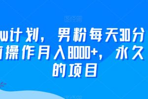 2024yw计划，男粉每天30分钟，无脑操作月入8000+，永久可做的项目【揭秘】