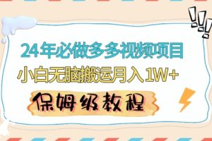 人人都能操作的蓝海多多视频带货项目，小白无脑搬运月入10000+【揭秘】