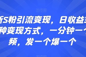 最新S粉引流变现，日收益300+多种变现方式，一分钟一个视频，发一个爆一个【揭秘】