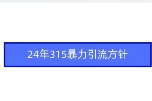 24年315暴力引流方针