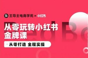 王导主·小红书电商运营实操课，从零打造  全程实操