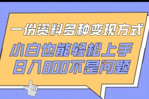 一份资料多种变现方式，小白也能轻松上手，日入800不是问题【揭秘】