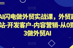 AI闪电做外贸实战课，外贸建站-开发客户-内容营销-从0到3做外贸AI