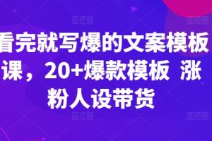 看完就写爆的文案模板课，20+爆款模板  涨粉人设带货