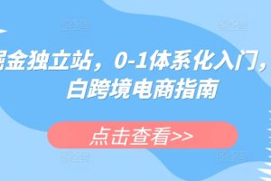 掘金独立站，0-1体系化入门，小白跨境电商指南