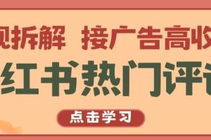 小红书热门评论，变现拆解，接广告高收入【揭秘 】