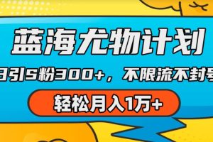 蓝海尤物计划，AI重绘美女视频，日引s粉300+，不限流不封号，轻松月入1w+【揭秘】