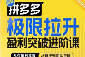 拼多多极限拉升盈利突破进阶课，从算法到玩法，从玩法到团队搭建，体系化系统性帮助商家实现利润提升