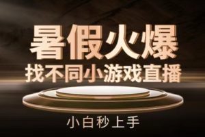 暑假火爆找不同小游戏直播间，小白秒上手【揭秘】