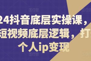 2024抖音底层实操课，重塑短视频底层逻辑，打造个人ip变现