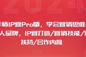 摄影师IP营Pro版，学会营销思维+打造个人品牌，IP营打造/营销技能/流量扶持/合作内推