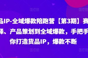 货品IP全域爆款陪跑营【第3期】赛道选择、产品策划到全域爆款，手把手教你打造货品IP，爆款不断