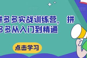 最新拼多多实战训练营， 拼多多从入门到精通