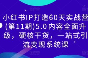 小红书IP打造60天实战营(第11期)5.0内容全面升级，硬核干货，一站式引流变现系统课