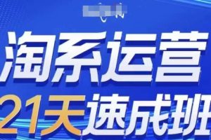 淘系运营21天速成班(更新24年9月)，0基础轻松搞定淘系运营，不做假把式