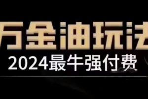 2024最牛强付费，万金油强付费玩法，干货满满，全程实操起飞