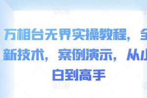 万相台无界实操教程，全新技术，案例演示，从小白到高手