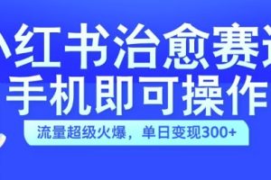 小红书治愈视频赛道，手机即可操作，流量超级火爆，单日变现300+【揭秘】