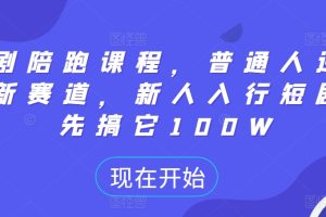 短剧陪跑课程，普通人逆袭的新赛道，新人入行短剧，先搞它100W